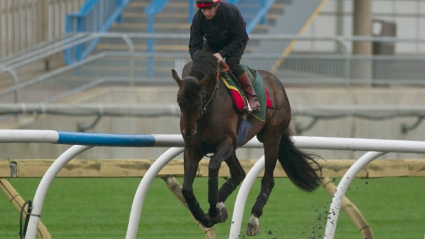 British-bred Brown Panther the early favourite for $1-million International race Article Image 0