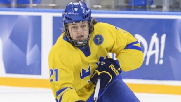 William Nylander, IIHF-HHOF/Images On Ice William Nylander