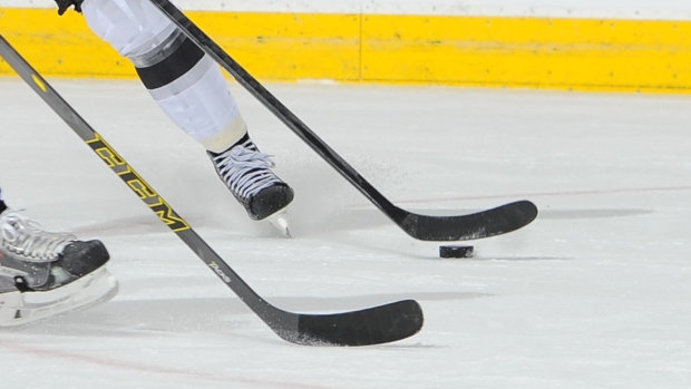 Hockey, Andy Devlin/National Hockey League/Getty Images Hockey