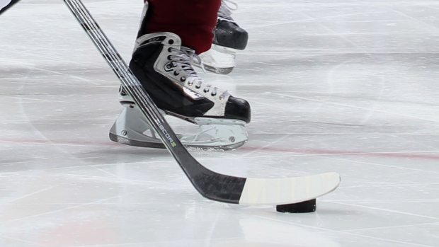 Hockey, Debora Robinson/National Hockey League/Getty Images Hockey