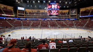 Coyotes attendance