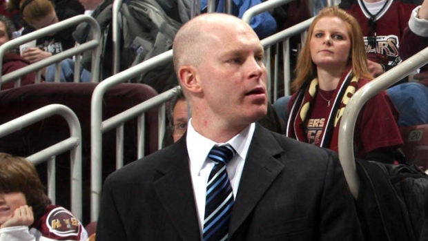 John Hynes, AHL John Hynes