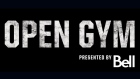 Open Gym 2015-16