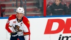 Photo: Eliot J. Schechter/National Hockey League/Getty Images, License: N/A, Created: 2014:03:27 20:30:23 Ed Jovanovski