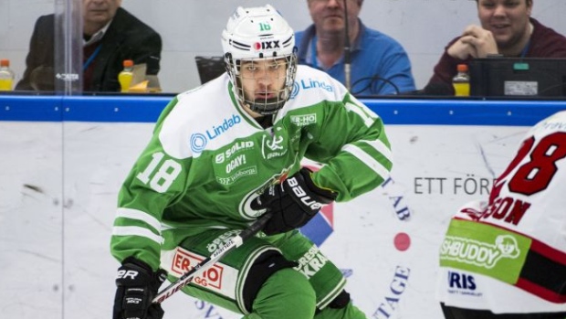 Timothy Liljegren, Rogle HC Timothy Liljegren