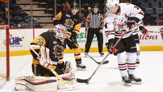 Bulldogs vs IceDogs