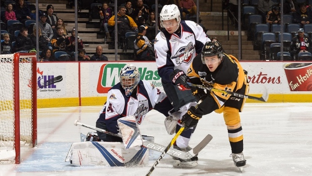 Brandon Saigeon, Hamilton Bulldogs Brandon Saigeon