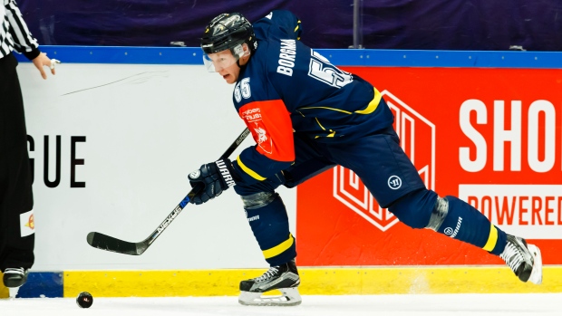 Andreas Borgman, HV71 Jonkoping/Champions Hockey League/Getty Images Andreas Borgman
