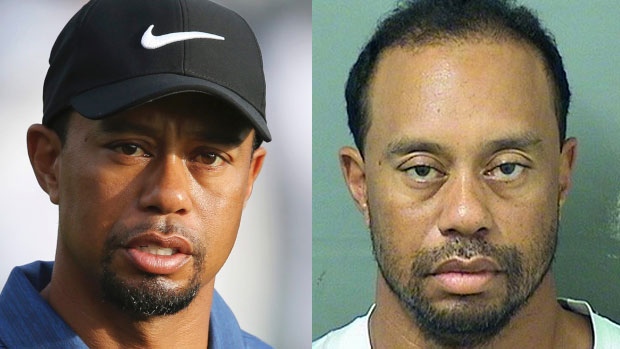 Tiger Woods - Mug shot