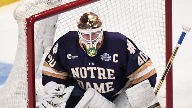 Cal Petersen, Icon Sportswire/Icon Sportswire/Getty Images Cal Petersen