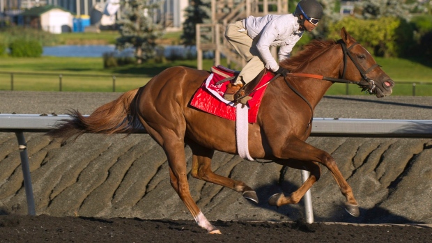 Trade Storm comes on in deep stretch to capture Woodbine Mile race Article Image 0