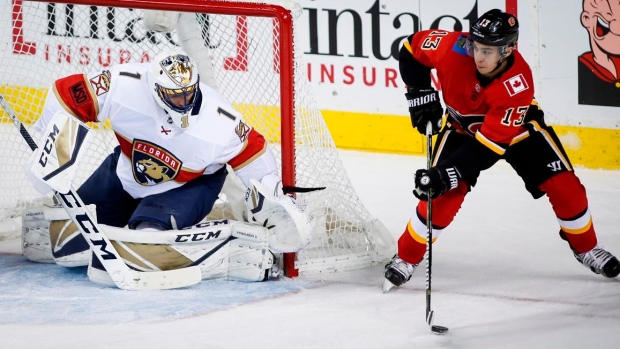 Roberto Luongo and Johnny Gaudreau