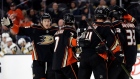 Anaheim Ducks celebrate goal