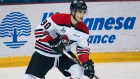 Photo: Drummondville Voltegeurs, License: N/A Joe Veleno
