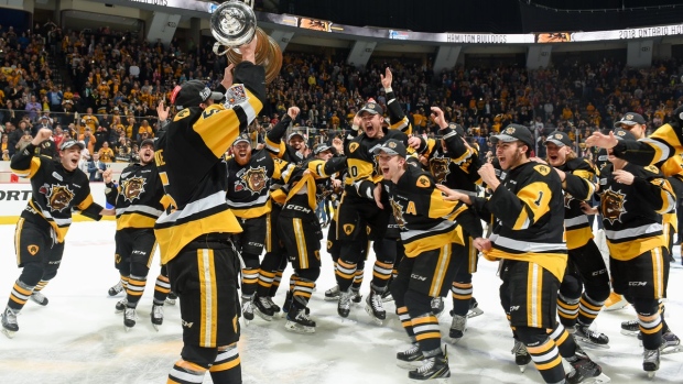 Hamilton Bulldogs celebrate, Hamilton Bulldogs on Twitter Hamilton Bulldogs celebrate