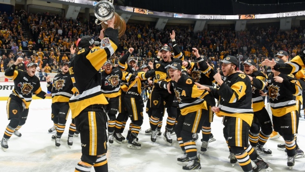 Hamilton Bulldogs celebrate