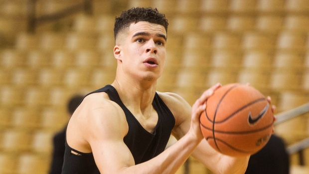 Michael Porter Jr.