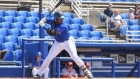 Vladimir Guerrero Jr.