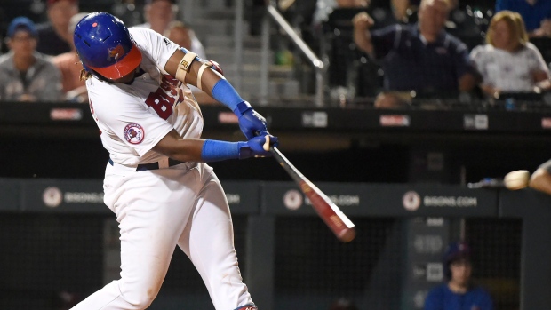 Vladimir Guerrero Jr.