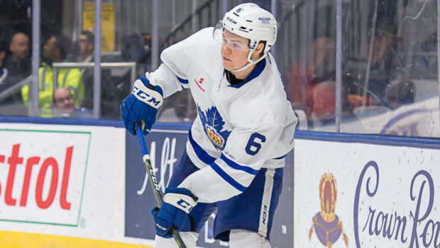 Andrew Nielsen, Toronto Marlies Andrew Nielsen