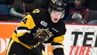 Photo: Hamilton Bulldogs, License: N/A Arthur Kaliyev