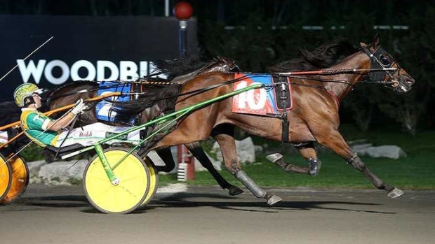 Crystal Fashion, U.S. Trotting Assn. on Twitter Crystal Fashion