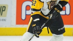 Bulldogs Defencemen Nicolas Mattinen, courtesy of the Hamilton Bulldogs Bulldogs Defencemen Nicolas Mattinen, courtesy of the Hamilton Bulldogs