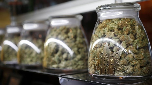 Cannabis, CTV.ca Cannabis
