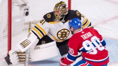 Jaroslav Halak Tomas Tatar