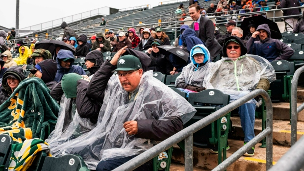 Fans at Hohokam Stadium, The Canadian Press Fans at Hohokam Stadium
