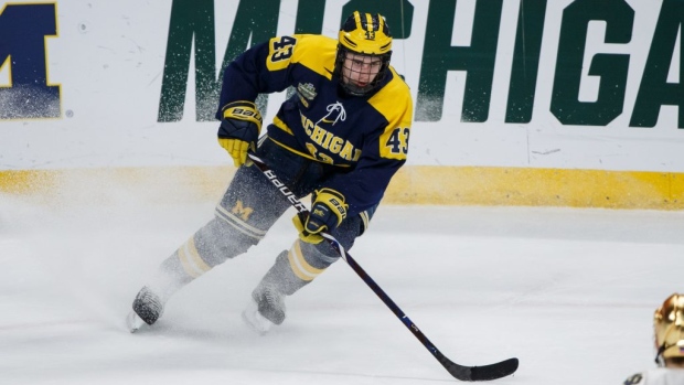 Quinn Hughes Michigan