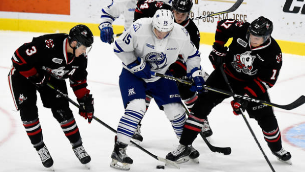 IceDogs battle for puck
