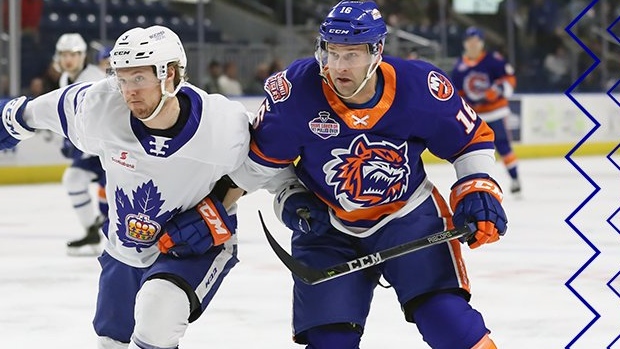 Toronto Marlies Bridgeport Sound Tigers, twitter.com/@TorontoMarlies Toronto Marlies Bridgeport Sound Tigers