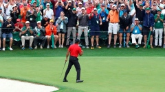 Tiger Woods, The Canadian Press Tiger Woods