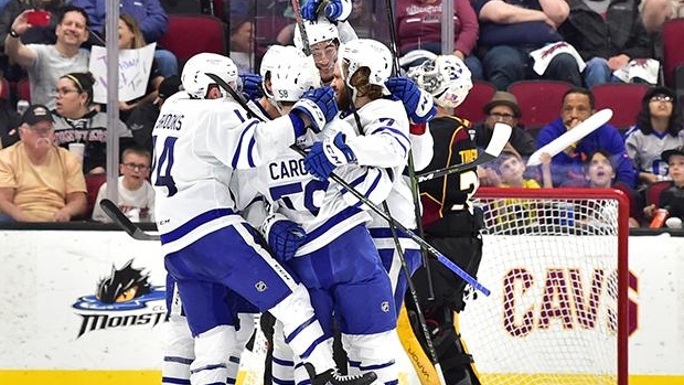 Toronto Marlies celebrate, Toronto Marlies on Twitter Toronto Marlies celebrate