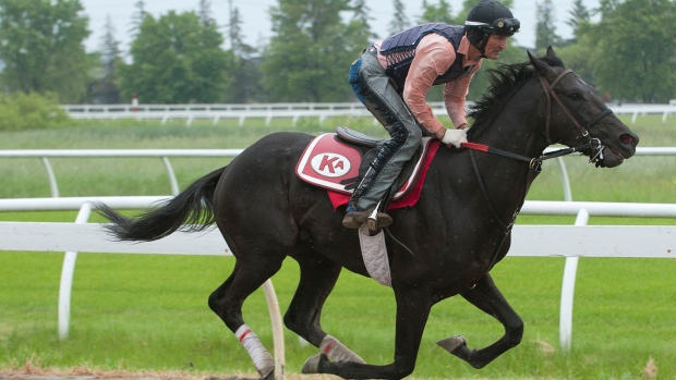 Jammin Still, with exercise rider Wayne Green, Michael Burns Photo Jammin Still, with exercise rider Wayne Green
