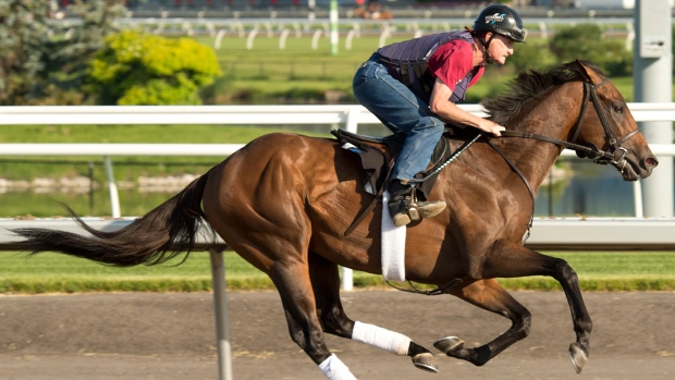 Avie's Flatters, Woodbine Avie's Flatters