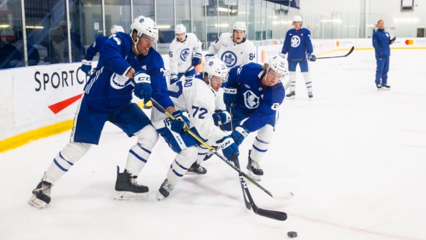 Toronto Maple Leafs development camp, Toronto Maple Leafs Twitter Toronto Maple Leafs development camp