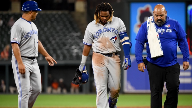 Vladimir Guerrero Jr.