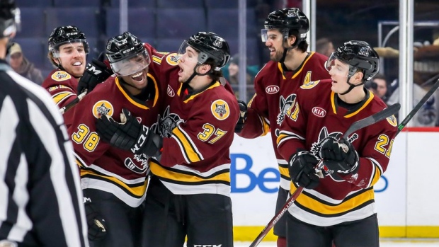 Chicago Wolves Celebrate