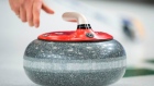 Curling rock