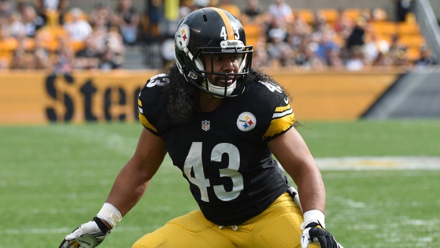 polamalu pro bowl jersey
