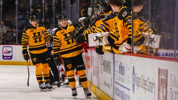 Jan Mysak, Hamilton Bulldogs Jan Mysak, Hamilton Bulldogs