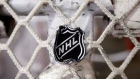 NHL Logo in Hockey Net