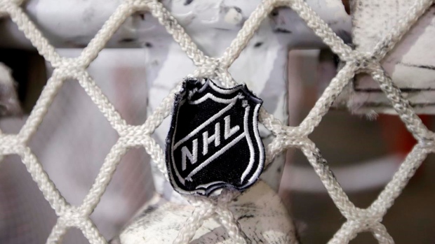 NHL Logo in Hockey Net