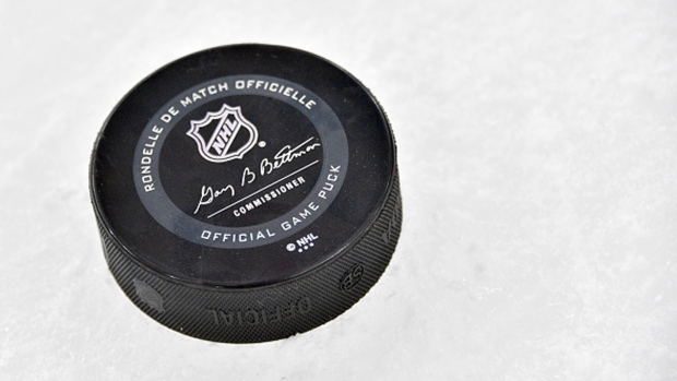 NHL Puck