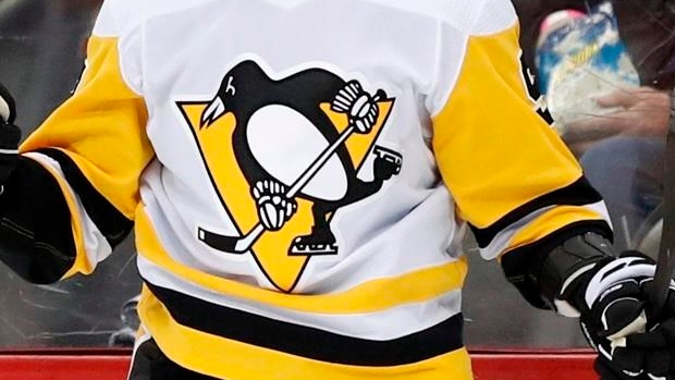 Los pingüinos de Pittsburgh se conforman con Bill Currin Skalde
