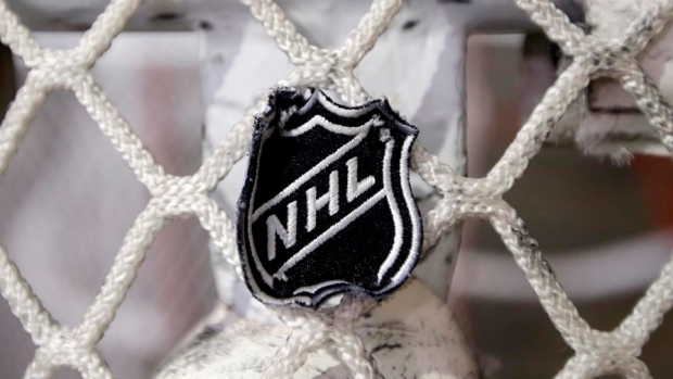 NHL net