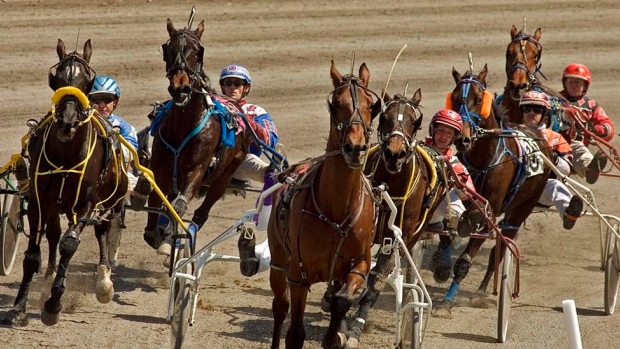 Harness racing at Woodbine Mohawk Park 