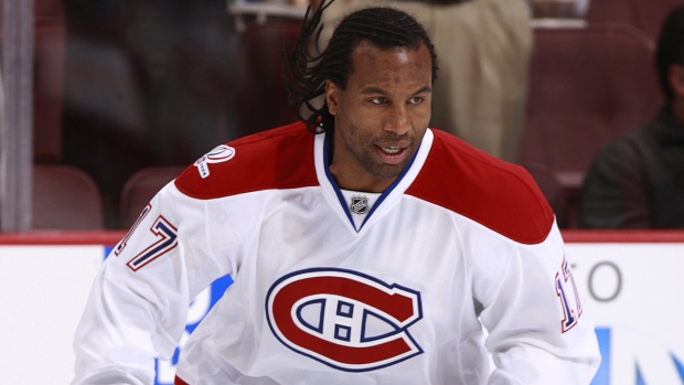 Ex-NHL enforcer Laraque joins forces with Green Party